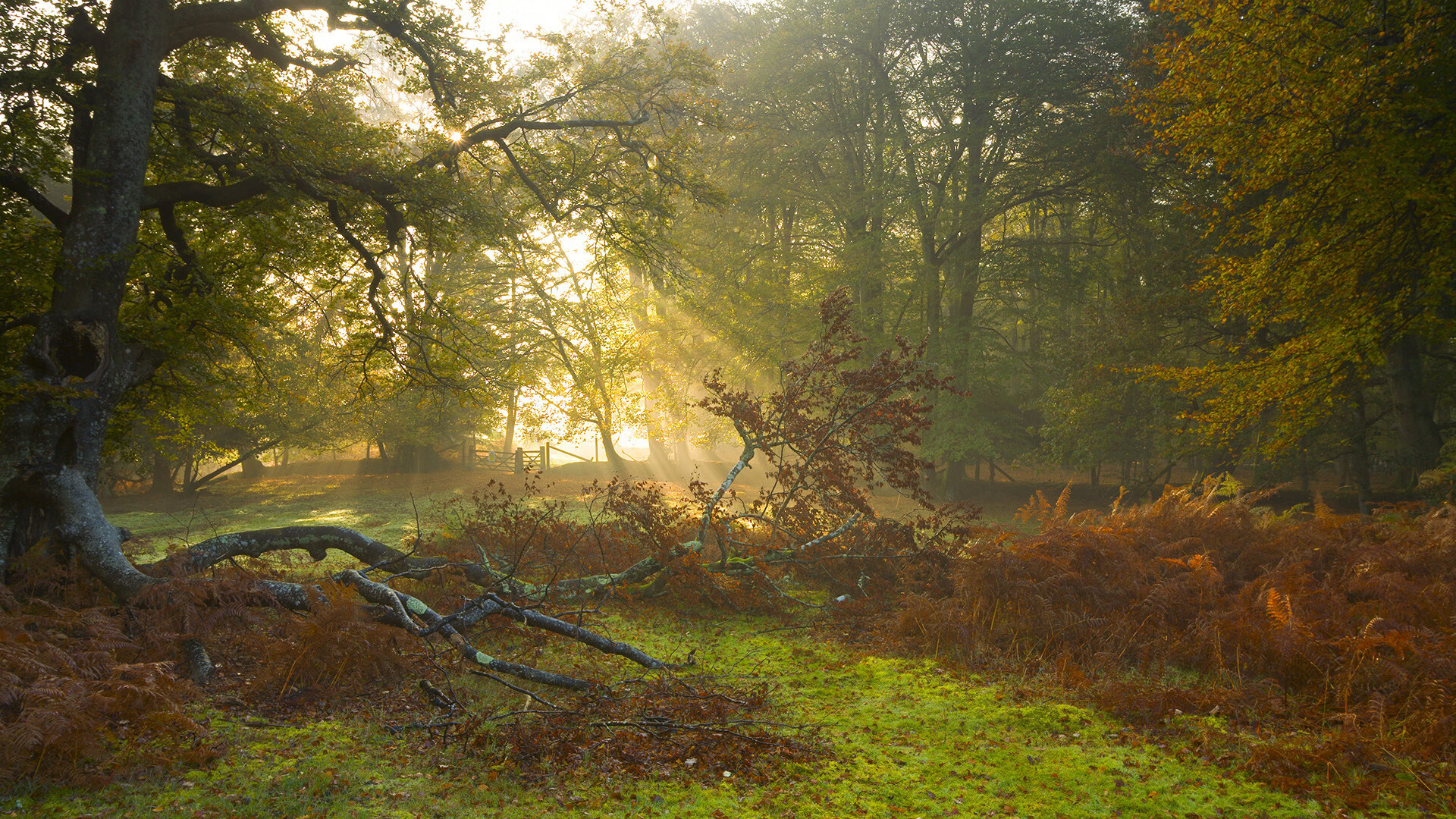 开云体育官网-看好桑普多利亚主场获胜,信心十足
