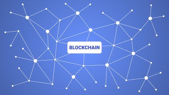 开云体育娱乐app安全-英超青训采用虚拟现实技术强化战术理解与应变能力，英超vr技术