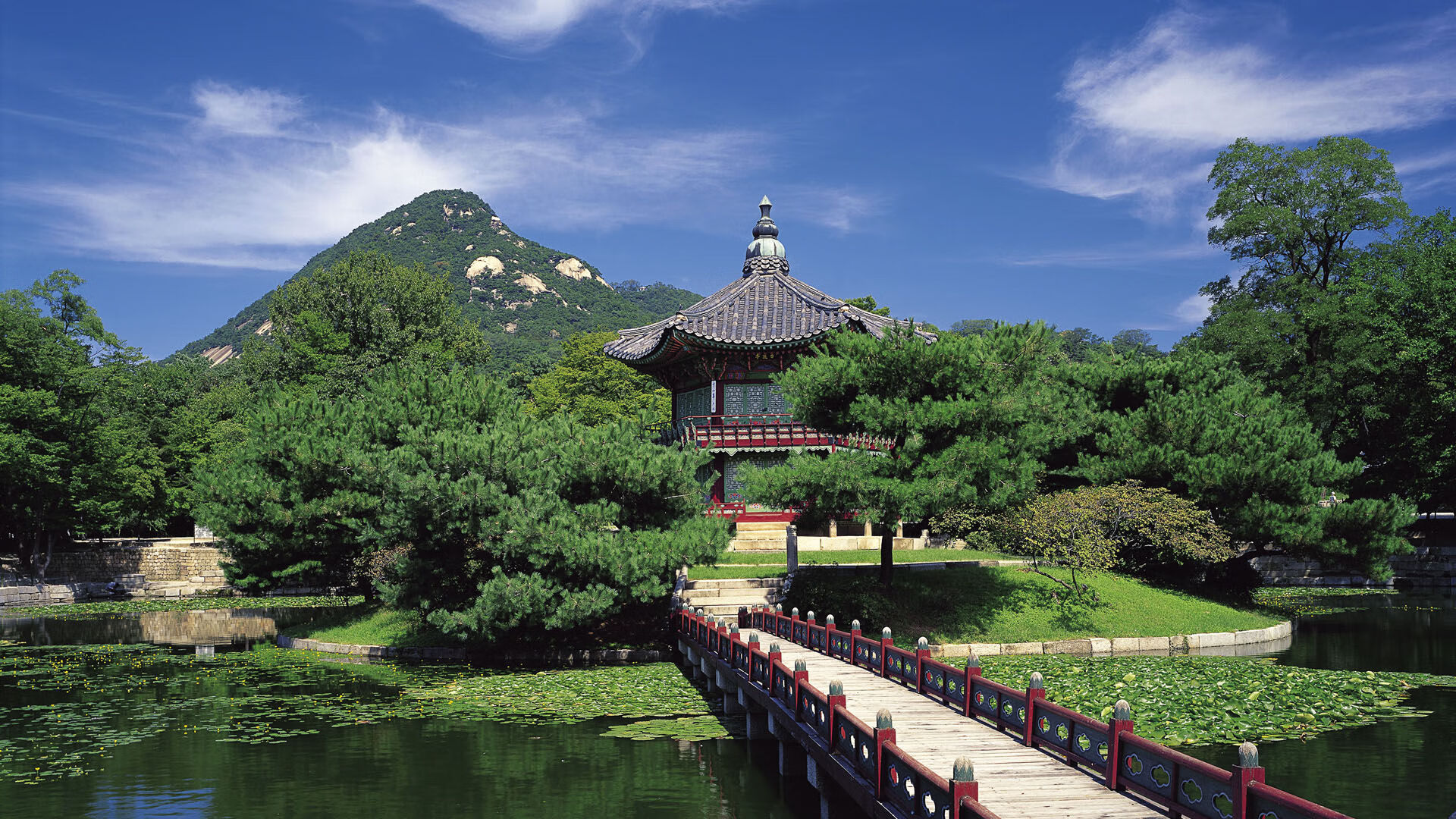 开云体育下载网址-体育明星短剧上线引发全民健身热潮,体育明星的视频