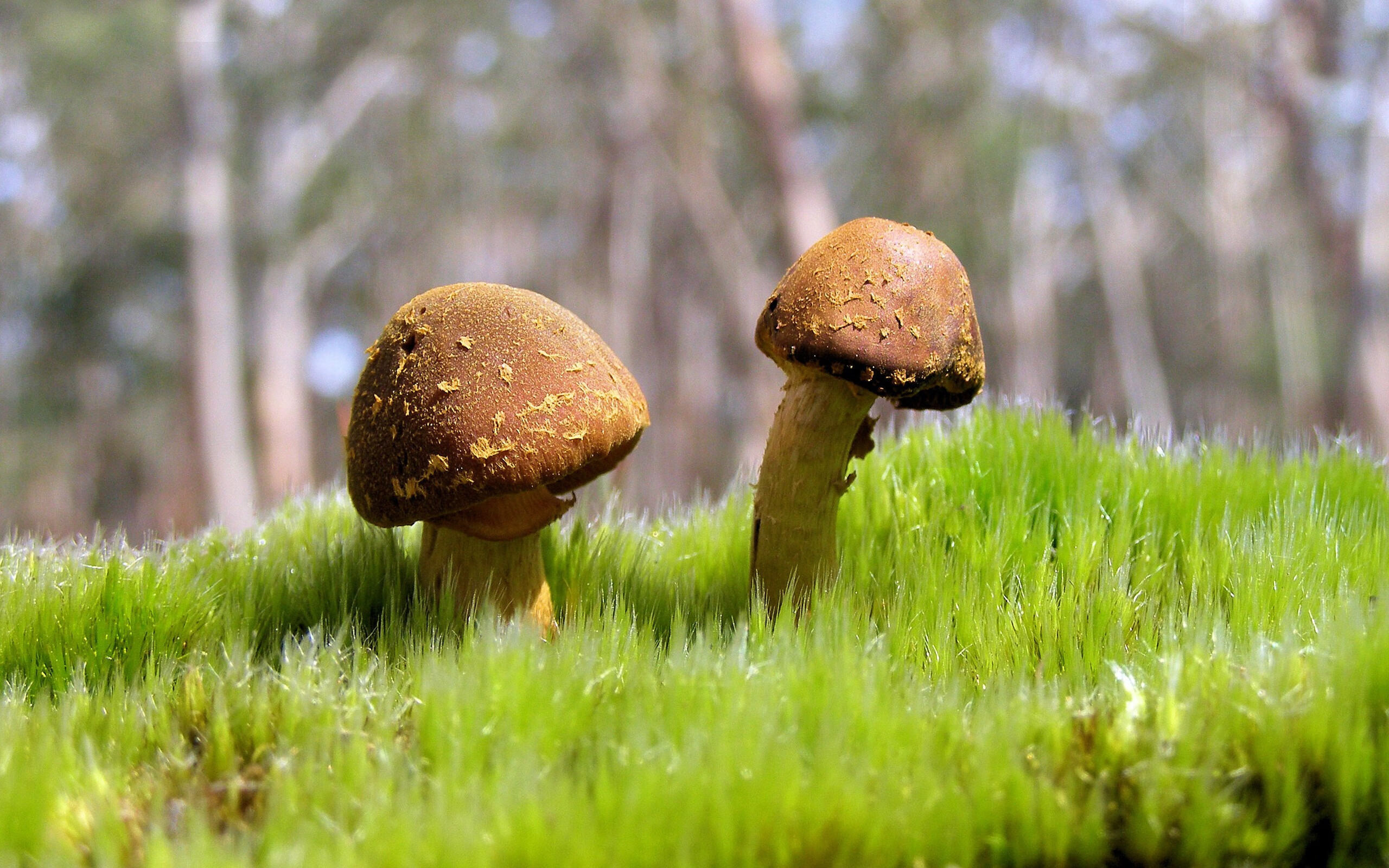 -俱乐部管理层稳定性对成绩影响明显,俱乐部型管理风格是什么