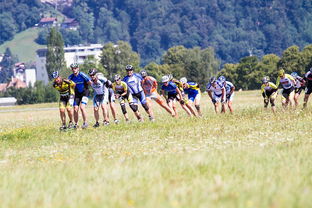 开云体育下载APP-花样滑冰全国锦标赛完美收官,全国花样滑冰锦标赛2020