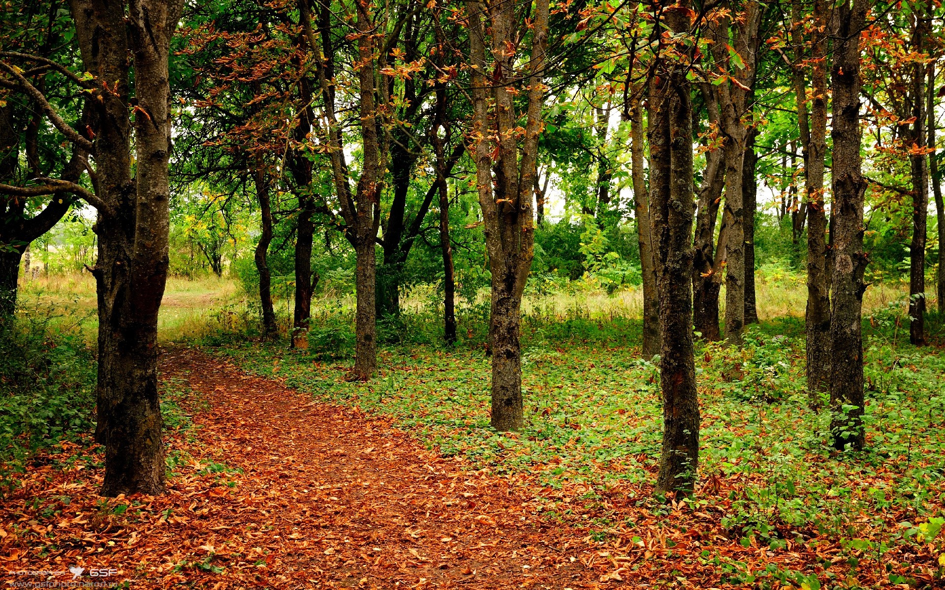 开云app安全认证-裁判在关键比赛中控场能力出色避免局势失控保持公平，裁判员对比赛进行管理的手势有