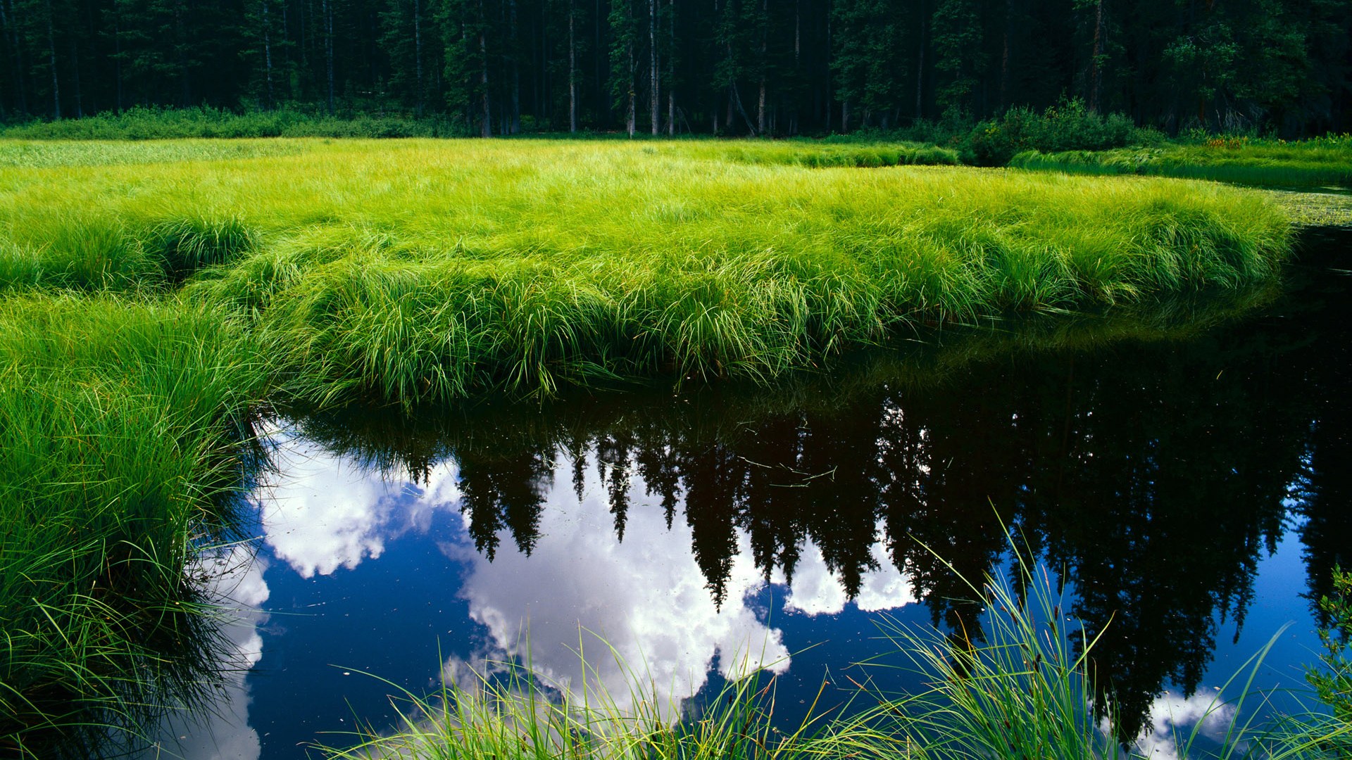 kaiyun sports app-雷霆发布球员漫画形象塑造品牌亲和力，雷霆的球员名单