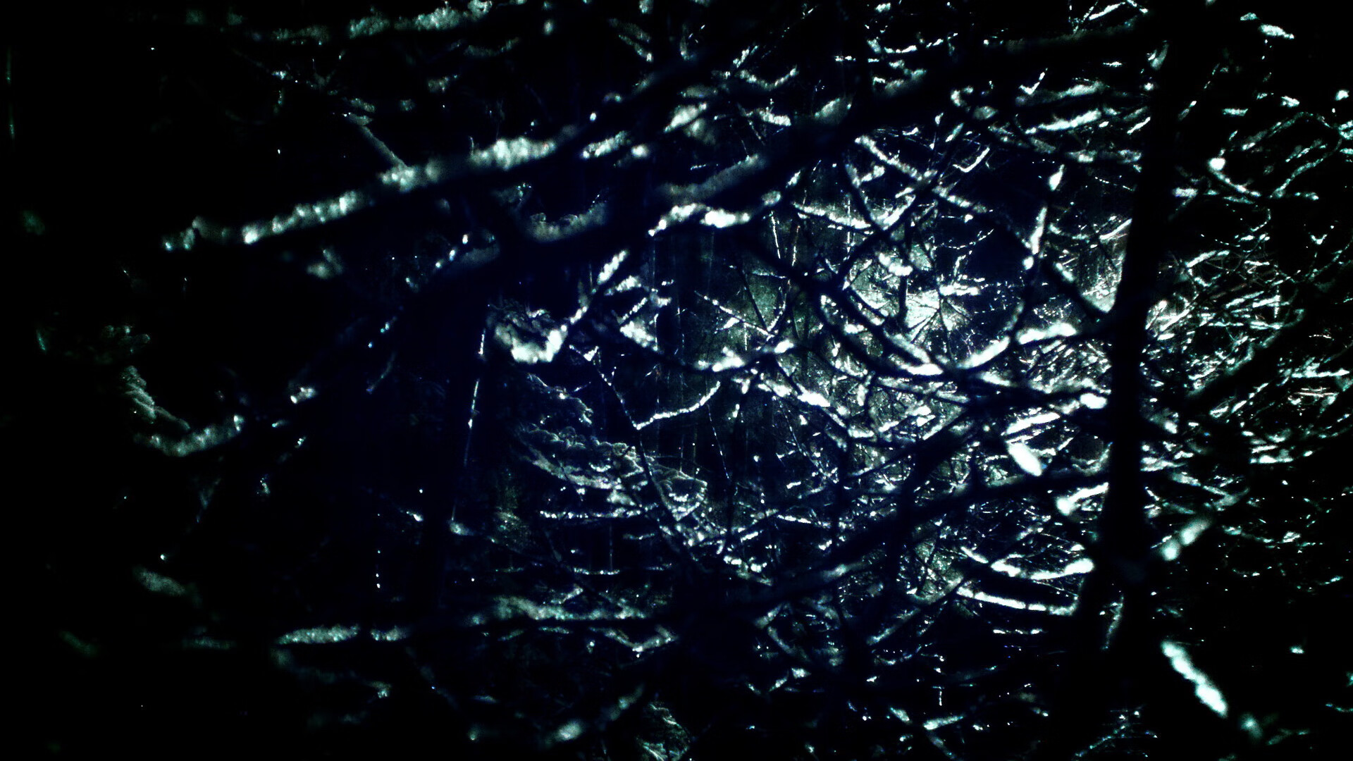 -青训体系搭建多维观察通道建立长期选才机制