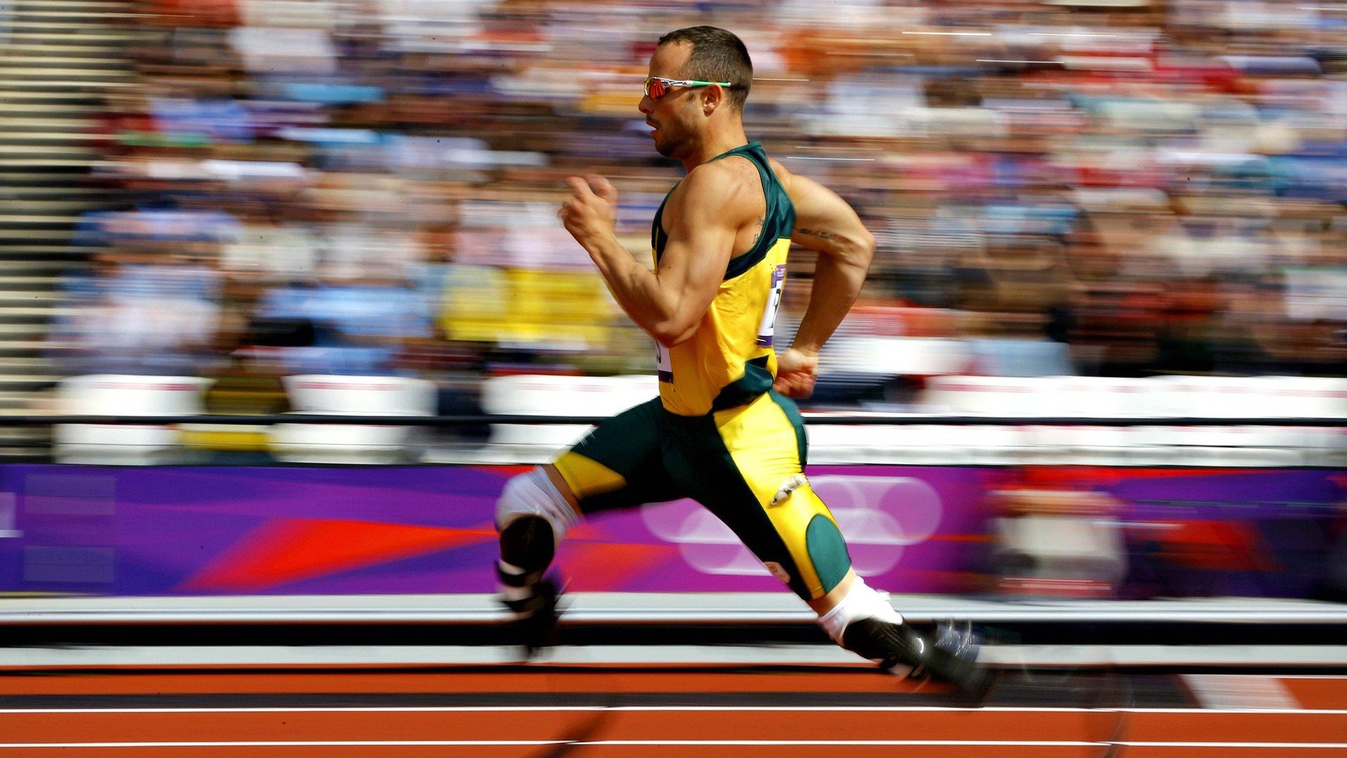 WRC年度盛典：车手、车队、赛道全景回顾，wrc车手总冠军