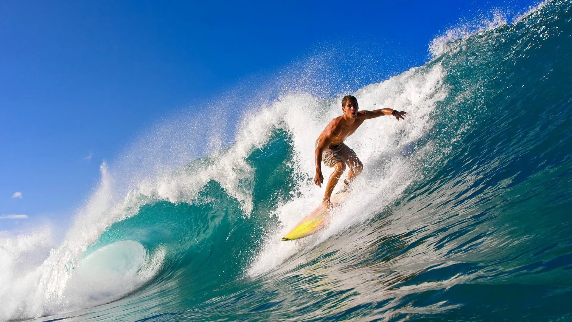 “智能未来：自动驾驶引领速度新体验”，自动驾驶造未来阅读答案