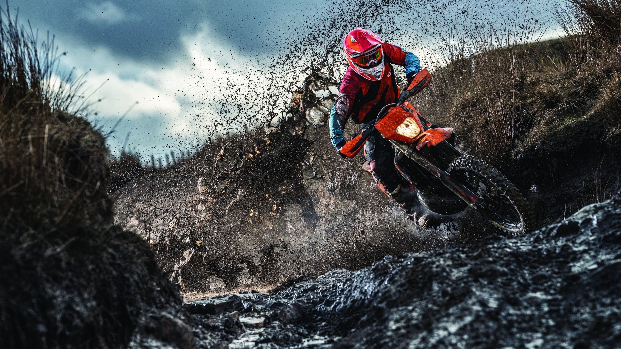 未来篮球明星培养计划持续推进，青训成长加速，中国未来的篮球新星